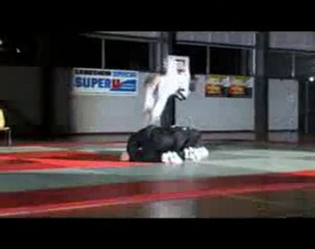Aigle Hapkido Nuit des Arts martiaux