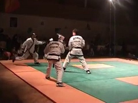 Aigle Hapkido Démonstration Gerstheim 2009