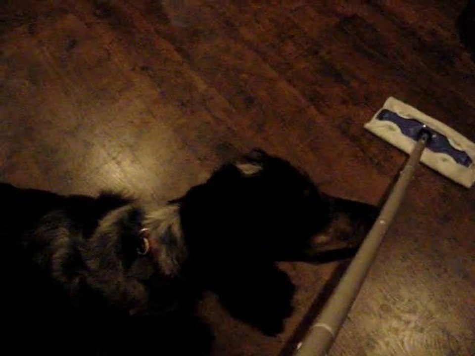 Ebène découvre Swiffer