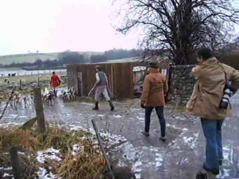 Le départ des chiens HUNTING VALE OF LUNE