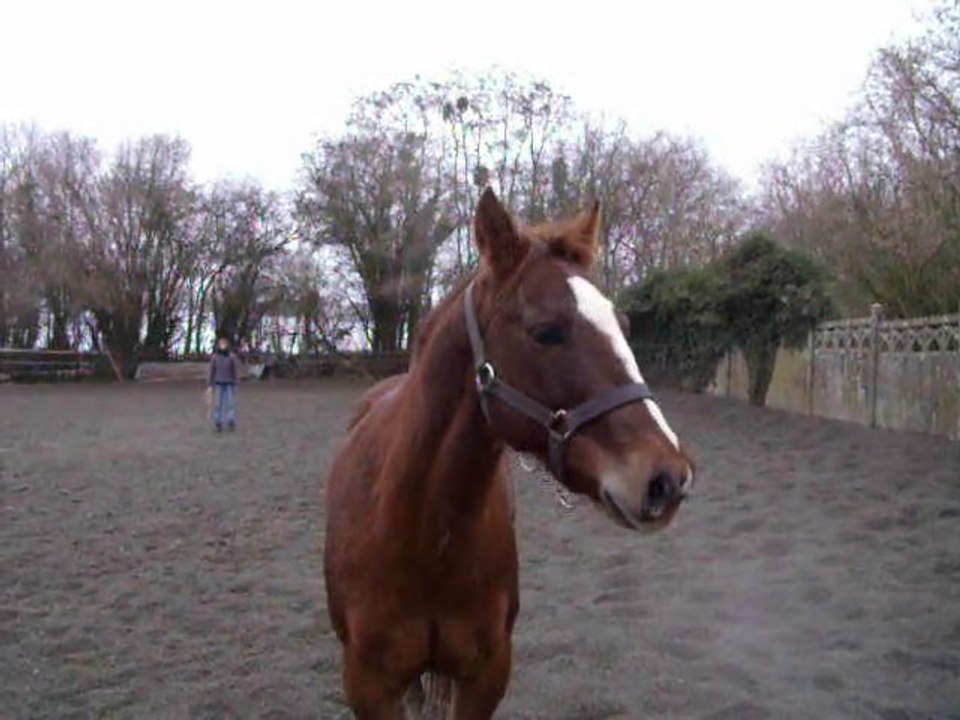 Dehors en hiver ? chouette chouette chouette