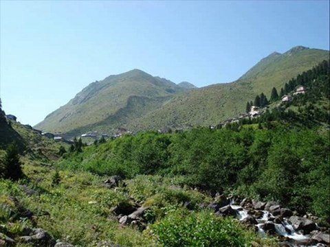 rize çamlıhemşin yayla-tulum- kavrun.tr.gg
