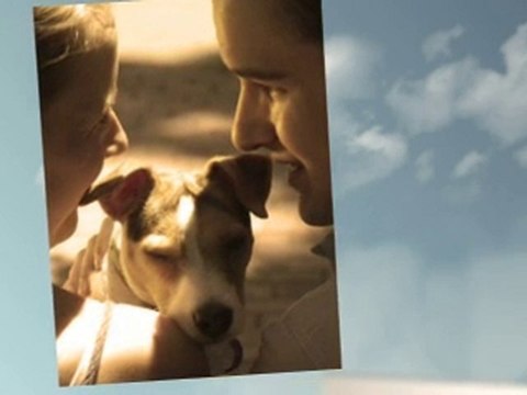 Digital Photo Urns for Pets