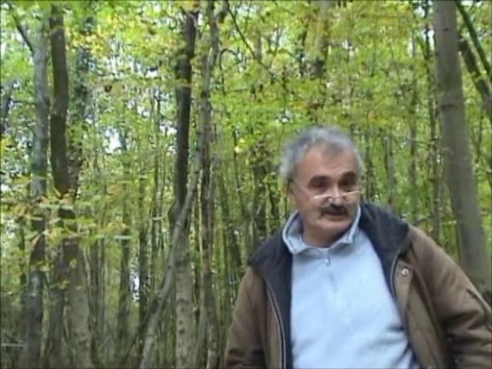 Biodiversité gestion forestière
