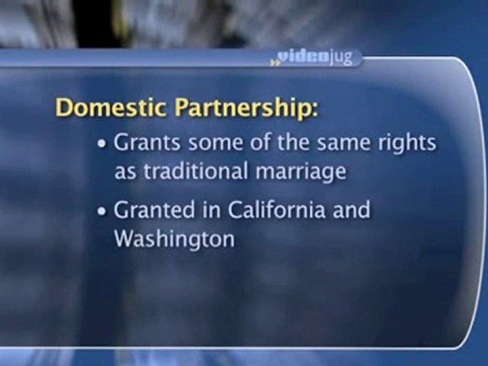 Domestic Partnerships : What is the definition of a "domestic partnership"?
