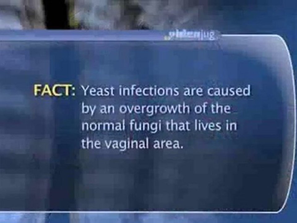 Infections Of The Female Genital Tract : What is a "yeast infection"?