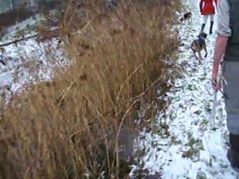 Le long du canal HUNTING VALE OF LUNE
