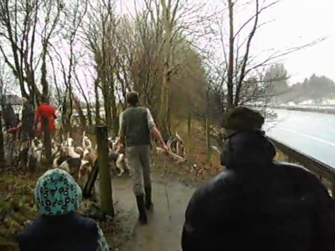Le long de l'autoroute HUNTING VALE OF LUNE