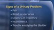 How To Spot The Warning Signs Of A Urinary Problem : What are the warning signs of a urinary problem?