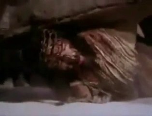 Message de la part des martyrs de l’église des saints