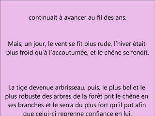 Le vieux chêne et l'arbrisseau (Isabelle Krief)