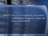 Medical Heroin : How is heroin acquired for scientific studies?