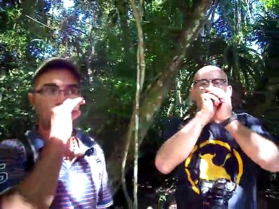 mempakap imite le singe