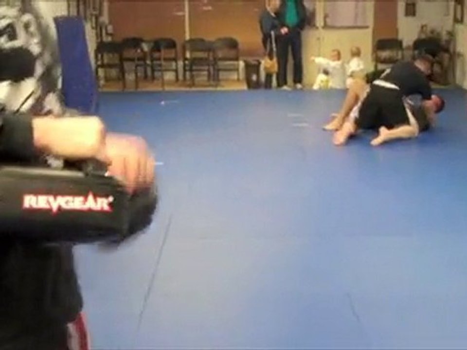 PMMA PROFESSIONAL REVIEW: REVGEAR MINI THAI PADS