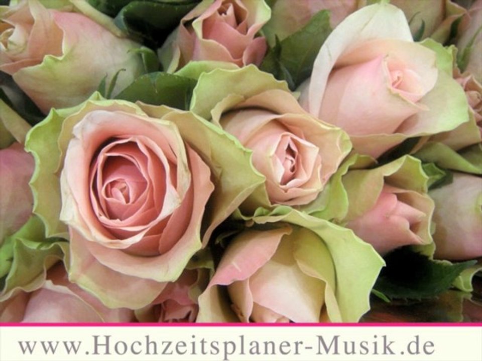 Hochzeitsplaner