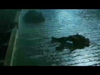 Final Hour by Hieu (Video Twilight Sage Eclipse)