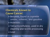 Cancer Prevention : What are the environmental risk factors for cancer?