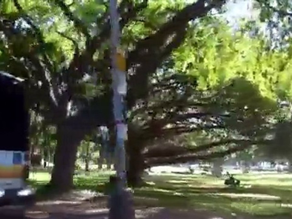 HIPE Year 2 - Video 5