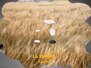 Kouni Sabbara: Traditional Flute Song 🎶