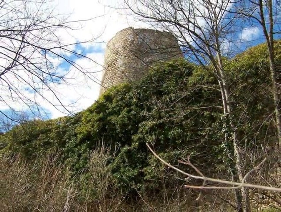 Château de Pflixbourg