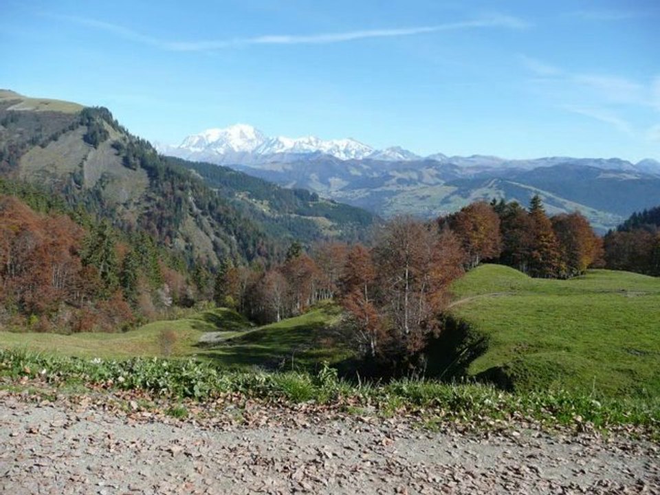 ColAravis10-09