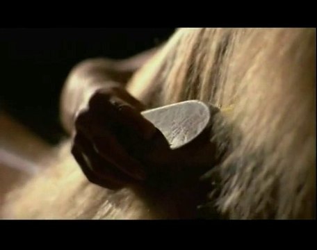 Le Saint Coran Sourate L'étoile (An-Najm) 38-44