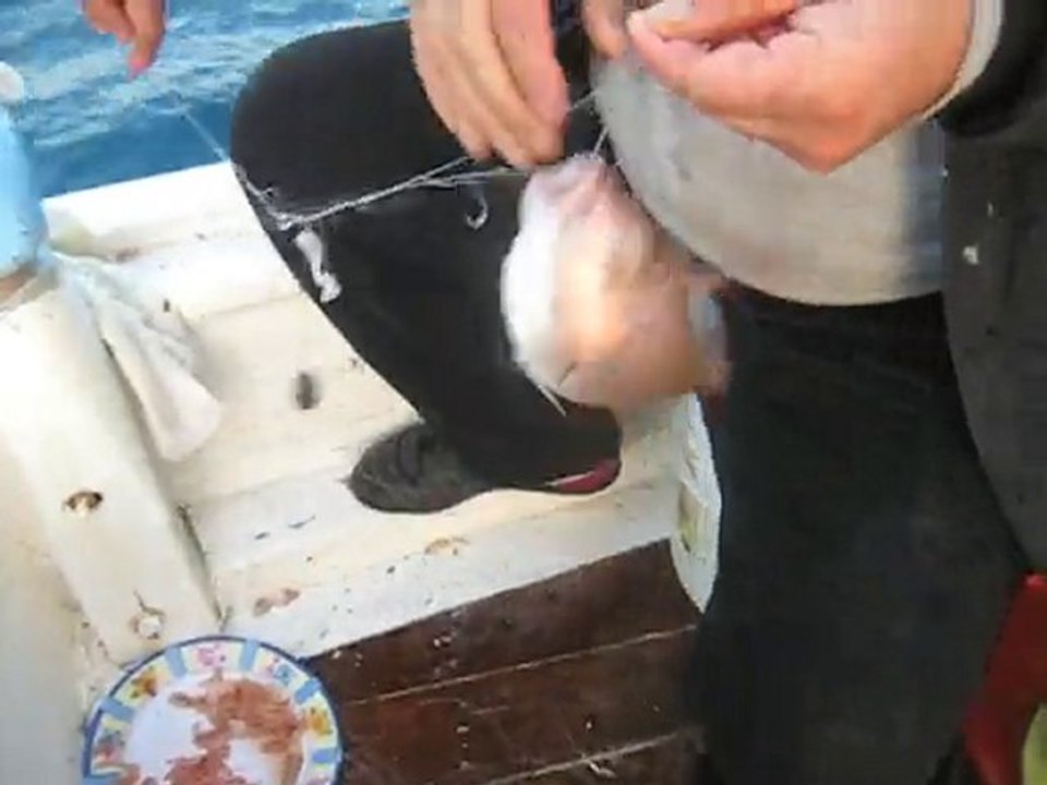 KUŞADASI BALIK AVI  YASMİN TEKNESİ