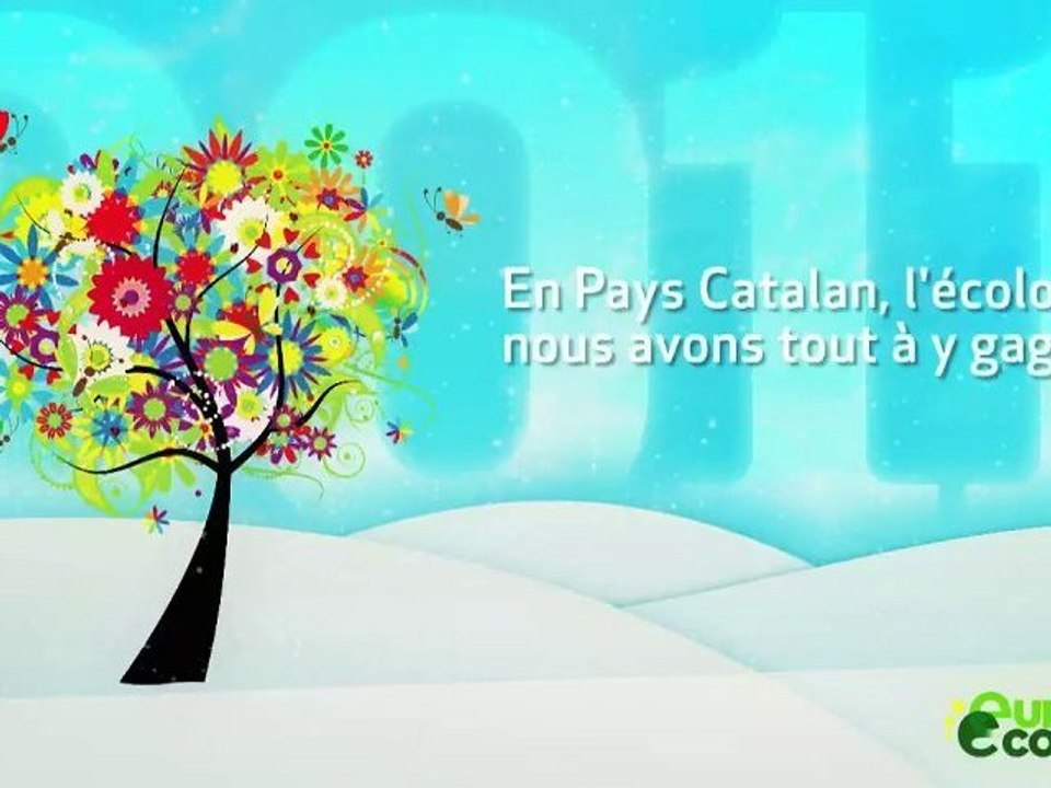 Voeux 2011