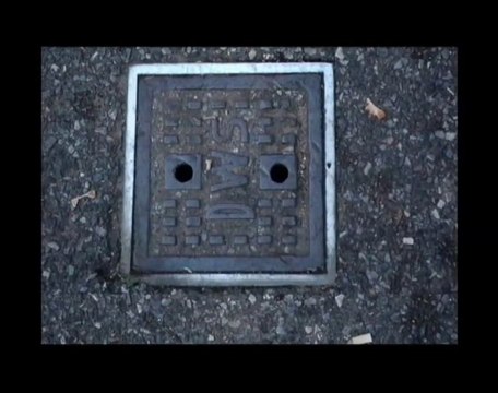 The lost tribes of New-York City