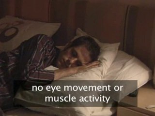 The Science Of Sleep - Explained