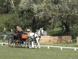 denis dressage