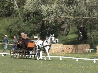 denis dressage