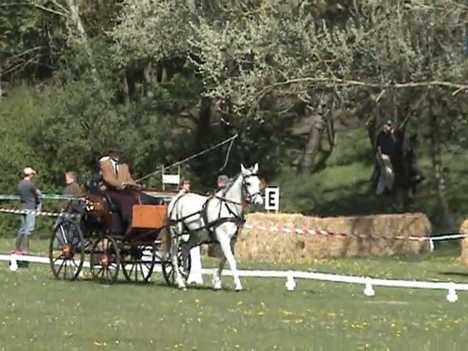 denis dressage