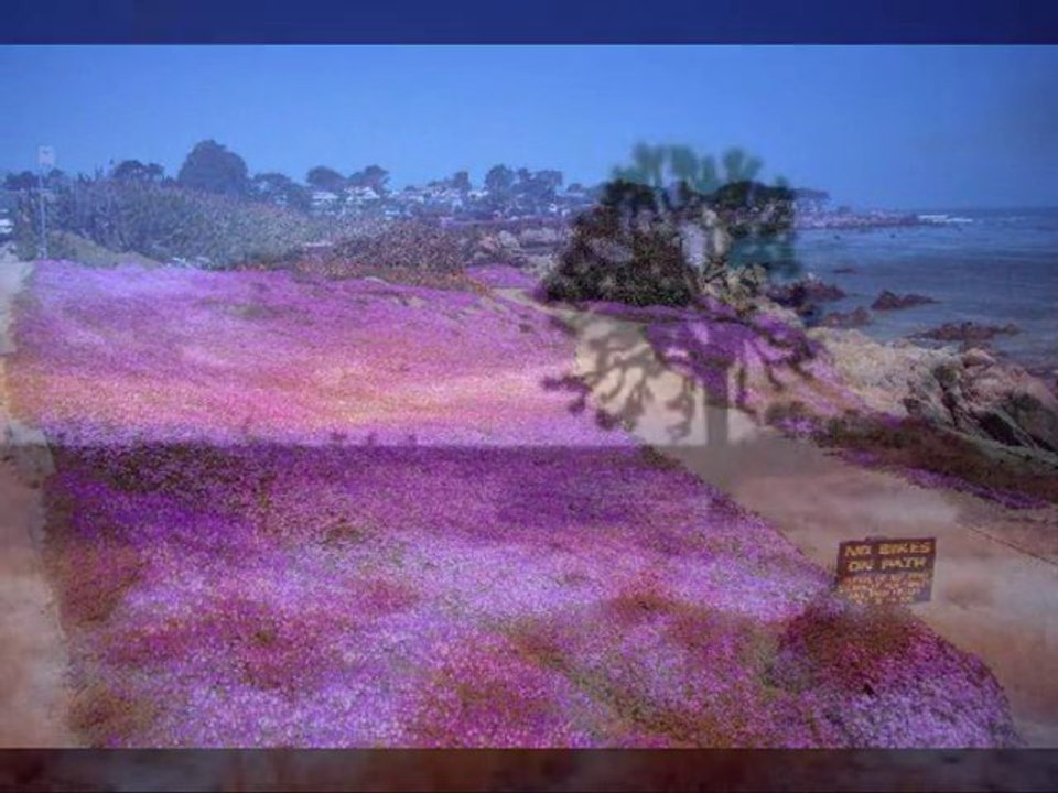 ballade en californie  roy orbison