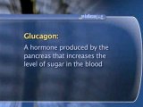 Diabetes Patient Basics : What happens when a hypoglycemic reaction gets out of control?