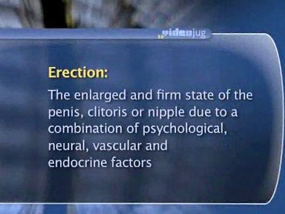 Female Reproductive System Basics : How is female sexual genitalia comparable to male genitalia?