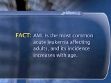 Acute Leukemia : What is 