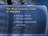 Allergy Basics : What are the most common types of allergies?