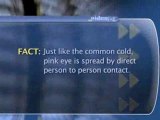 Common Eye Problems And Diseases : What causes pink eye?