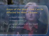 Heart Disease Basics : What are the most common types of heart disease?