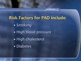 Peripheral Arterial Disease : What are the risk factors for developing peripheral arterial disease?