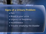 The Urinary System Basics : What are the warning signs of a urinary problem?