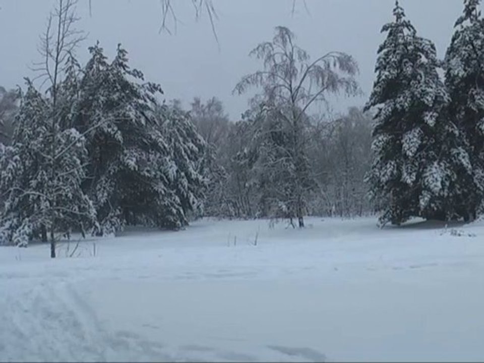 Январь. January 2011