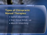 Chiropractic Treatments And Therapies : What is 