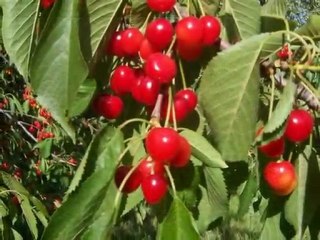 BEYAĞIL VE YÖRESİ -6--İRFAN VURAL