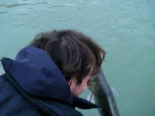 gros sandre