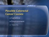 Colorectal Cancer Basics : What causes colorectal cancer?