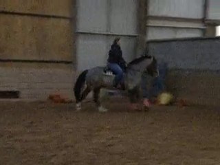 Jacomo et Moi premier galop ensemble