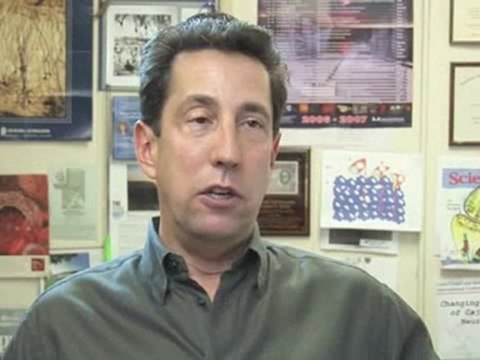 Generalized Seizures : What are the complications of generalized seizures?