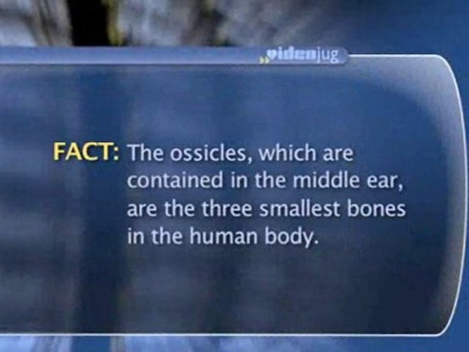 hearing-impairment-and-hearing-loss-what-are-the-different-forms-of